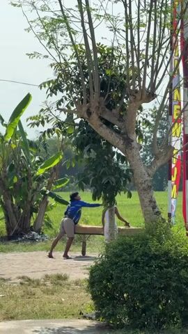 The video shows two people standing next to a tree. The person on the left is reaching up towards the tree. The person on the right is also reaching up towards the tree. There is a bench between them. In the background, there is a field and some banana trees. The sky is clear and the sun is shining.