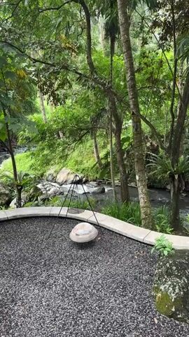 The video shows a coffee cup on a table overlooking a small stream. The table is black and also has a small vase with a leafy plant and a metal container of small towels. The coffee cup is yellow and contains a latte with a heart design. A red flower is next to the coffee cup. The stream is surrounded by lush green trees. There is a small clearing with a rock circle near the stream.
