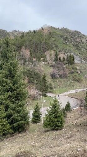 Morning outdoor activity documented near Almaty mountainous recreational area