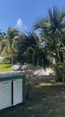 Motorcycle rider tours Playa del Carmen resort and residential areas