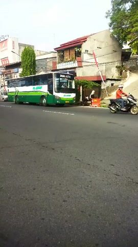 A green and white bus is parked on the side of a street. A person on a red motorcycle is riding past the bus. Buildings and trees are visible in the background. The sky is overcast.
