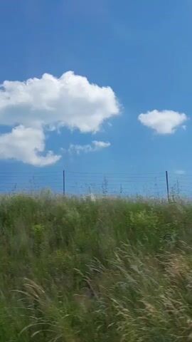A static video shows a bright blue sky with a few white clouds. Below the sky is a grassy hill with some sparse yellow flowers. A wire fence runs along the top of the hill with a few fence posts visible. The grass appears dry and yellowish in some areas. The lighting suggests it is daytime.