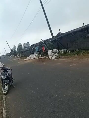 The video shows an outdoor scene with a paved road in the foreground and a dirt path on the right side. A black scooter is parked on the left side of the road. In the background, two individuals are seen standing near a black net-covered structure supported by poles. The structure appears to be a greenhouse or a similar agricultural setup. Several white sacks are piled up near the structure. One individual, wearing a red shirt and dark pants, is bent over. The other individual, wearing a light-colored shirt and dark pants, is standing and appears to be interacting with the sacks or the ground. Power lines are visible overhead, supported by a pole that leans precariously. The sky is overcast. The overall impression is a rural or agricultural setting.