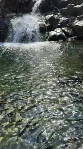 The video shows a small waterfall cascading into a pool of water. The waterfall is surrounded by rocks and greenery. The water in the pool is clear and reflects sunlight. There is no indication of people or other objects present. The camera appears to be stationary, capturing a close-up view of the scene.