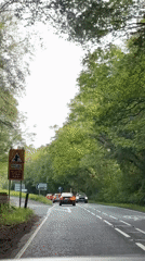 Vehicle drives through winding forest road with dense greenery