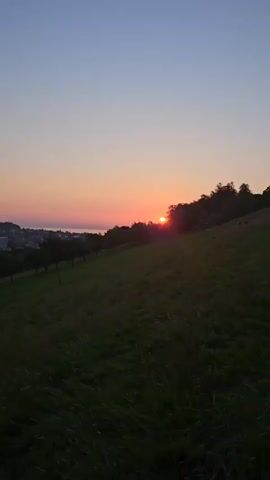 A low-angle, static shot captures a grassy hillside sloping upwards to the right. The sun, a small orange disc, is setting behind a dark line of trees at the crest of the hill. The sky transitions from a pale blue at the top to a soft orange and pink near the horizon. To the left of the hill, a body of water, possibly a lake, is visible in the distance, with a town or settlement on its shore. Several trees are planted in a row along the lower left portion of the hillside. The grass in the foreground is tall and somewhat blurred, indicating a shallow depth of field. The overall scene is peaceful and serene, dominated by the soft light of the setting sun.
