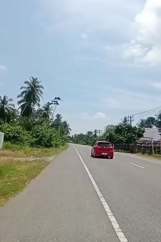 The video shows a road with a red car driving on it. The road is lined with trees and palm trees. The sky is blue with some clouds. The video is shot from the perspective of someone riding a vehicle.