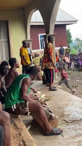 This video captures an outdoor communal scene in Ogbu, Nigeria. In the foreground, beneath the archways of a building, several men are gathered. A man wearing a green tank top and shorts is seated on a low structure, actively using a machete-like tool to chop or peel a long, thick plant stalk (possibly cassava or sugarcane) on a large wooden log. Pieces of the peeled or chopped material are scattered on the concrete ground around him. Other men, some shirtless, are seated or standing nearby, observing the work.

In the mid-ground, a man in a colorful patterned shirt stands, while another man in a yellow t-shirt holds a baby. In the background, a large group of people, predominantly children and some adults, are seated on a bench, attentively watching the activity. Behind them, a reddish-brown building with white windows is visible, surrounded by lush green vegetation, suggesting a rural or village setting. The time appears to be daytime, with natural light. Rhythmic percussive sounds, possibly drumming or the sounds of the chopping itself, are audible, contributing to a lively atmosphere. The scene depicts a communal gathering, possibly centered around a traditional work task or a social event.