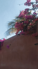 Tropical scenery and selfie captured in Porlamar, Venezuela