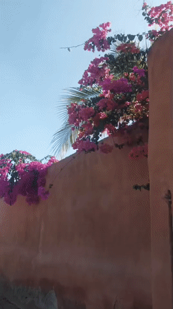 Tropical scenery and selfie captured in Porlamar, Venezuela