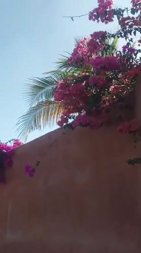 Tropical scenery and selfie captured in Porlamar, Venezuela