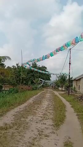 The video shows a dirt road lined with grass and trees. A string of colorful plastic bottles, possibly used as decorations, is strung across the road between utility poles. In the distance, two children are walking on the road. The sky is cloudy.