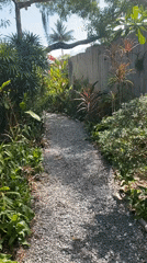 Morning garden walk documented in Thai tropical setting