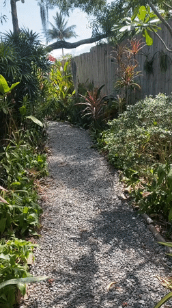 Morning garden walk documented in Thai tropical setting