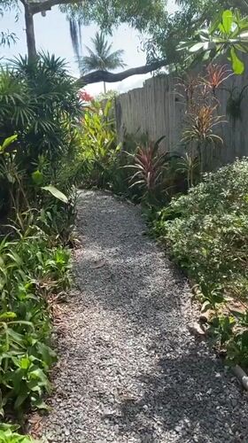 Morning garden walk documented in Thai tropical setting