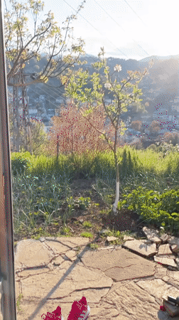 Spring landscape captured from covered vantage point in Zlatograd