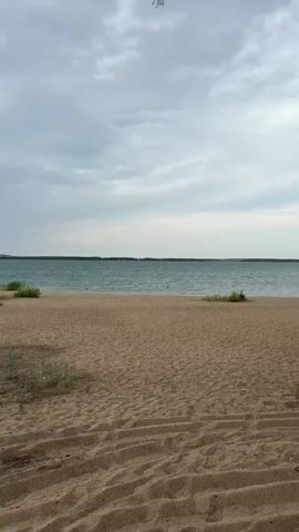 The video shows a beach scene with sand and water. The camera pans across the sandy beach, which has some vegetation growing on it. The water is a greenish-blue color and appears to be calm with small waves. In the distance, a line of trees can be seen along the horizon. The sky is overcast with gray clouds. There are no people or animals visible in the video.