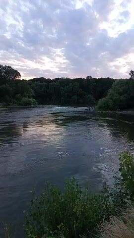 A slow-panning video captures a tranquil river scene under a cloudy sky. The river flows gently from left to right, its surface reflecting the muted colors of the sky. Lush green trees line the opposite bank, forming a dense forest that stretches across the horizon. In the foreground, at the bottom right of the frame, green bushes and dry grass are visible, adding texture to the natural landscape. The overall impression is one of peaceful, natural beauty as day transitions into evening.