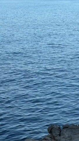 The video shows a view of the ocean with a rocky shore in the foreground. The water is blue and has small ripples. The sky is a light blue and appears to be clear. In the distance, there is a faint outline of land. The video is static with no visible movement other than the natural movement of the water.