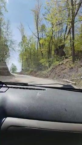 From the perspective of inside a car, the camera faces forward, showing a narrow road winding uphill through a forest. The trees on either side are mostly bare, with some showing signs of new green leaves. The road is made of concrete or asphalt and shows signs of wear and cracking. The sky is visible in the distance. The dashboard is visible at the bottom of the frame. There is a pair of glasses on the dashboard.