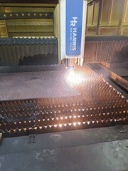 Industrial laser cutting and snail shell documentation captured simultaneously