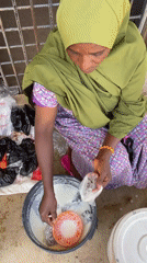 Morning life documented across residential Jos, Nigeria neighborhoods