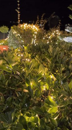 Nighttime cyclist rides past fairy lights in Tivat, Montenegro