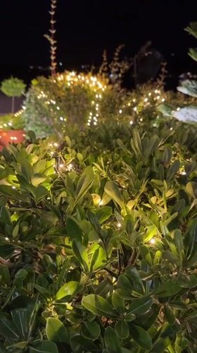 Nighttime cyclist rides past fairy lights in Tivat, Montenegro