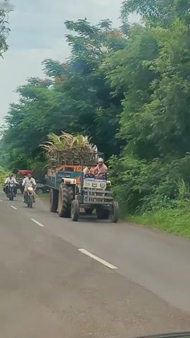 A tractor pulling a trailer full of harvested sugarcane is driving down a paved road. A man is operating the tractor. Two motorcycles are traveling behind the tractor. The motorcycles have riders. The road is bordered by trees and vegetation. The sky is overcast.