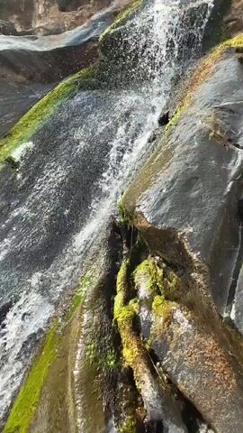 The camera slowly moves down a small waterfall. The water flows over rocks covered in moss and algae. There is a small log embedded in the moss on the right side of the falls.