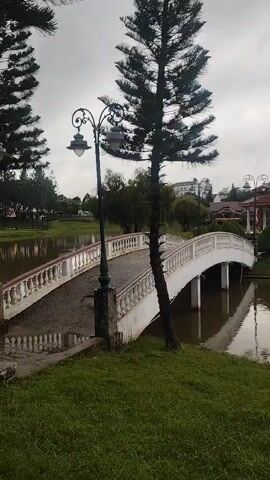The video captures a park scene with a bridge crossing a body of water. A tall pine tree stands prominently in the foreground, leaning slightly. A lamppost with an ornate design is positioned to the left of the bridge. The bridge itself is white with red railings and features a gentle arch. The water beneath the bridge reflects the sky and the bridge structure. In the background, there are more trees, a gazebo-like structure, and some buildings under a cloudy sky. The ground is covered in green grass. There are no people visible in the video.