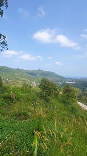 Morning hillside views captured across Ko Samui's lush landscape