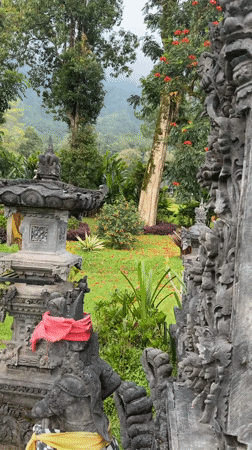 Temple visitors document Balinese architecture and animal interactions