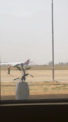Airport tarmac activity observed from terminal in Nigeria