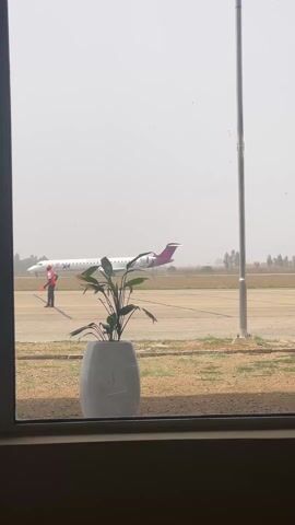 The view through a window reveals an airport scene on a hazy day. On the tarmac, a white airplane with a purple tail stands at a distance. A person wearing an orange vest and holding what appears to be guidance wands is positioned near the plane, apparently directing it. Closer to the window is a plant in a gray pot. A tall metal pole is also visible, positioned to the right of the plant. The ground outside is covered in a mixture of concrete, grass, and dirt. In the background, trees are faintly visible through the haze.