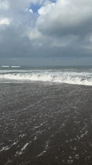 Coastal scenes and daily moments captured across unknown location