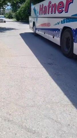 The video shows the rear and side of a white bus with the word "Hafner" written in large, red, stylized letters on its side. The bus also has blue, abstract designs on its side. On the back of the bus, text in Cyrillic is visible, including "ЗАКАЗ АВТОБУСА" (Bus Rental) and a phone number: "+7 978 859 33 01". A license plate is also visible.

The bus is driving away from the camera on a paved road. The road appears to be in a somewhat rural or suburban area, with trees and buildings visible in the background. Sunlight casts shadows on the road, suggesting it is daytime, likely in the late morning or afternoon. The weather appears to be clear. Dust is being kicked up by the bus's tires, indicating dry conditions. In the distance, another white vehicle is visible on the road ahead of the bus. The camera is at ground level, looking up at the bus.