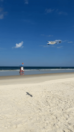 New Smyrna Beach, United States of America