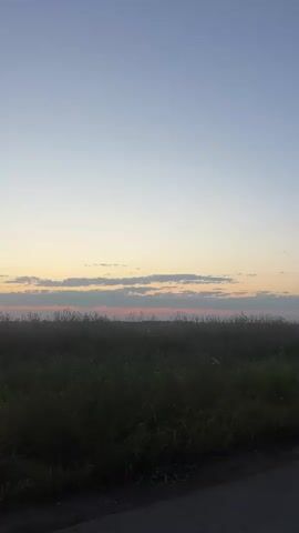 This is a static, vertical, low-angle shot of a field of tall grass with a road at the bottom. The sky is clear and light blue, with thin clouds scattered across it. The sun is not visible, but the light suggests it is either sunrise or sunset. The grass is dark green and appears to be dry. The road is dark and appears to be asphalt. The video is silent.