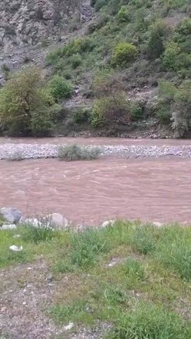 The video shows a wide, brownish river flowing swiftly, its surface reflecting the ambient light. The riverbank nearest the viewer is covered with green grass and a few rocks. On the opposite bank, a pebbly stretch leads to a hillside thickly covered with green foliage and scattered trees. The hillside slopes upwards towards a rocky, mountainous terrain in the background. The scene is static and depicts a natural setting.