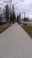 Morning moments captured in Chaikovsky: walkway, resting dog, woman