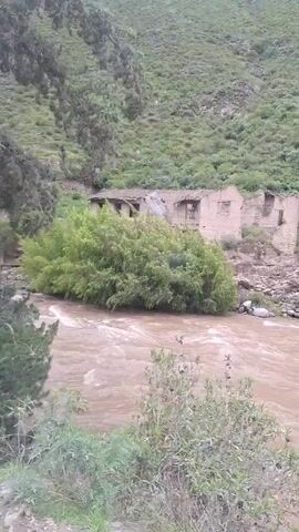 The video shows a view of a river with a muddy, brown color, flowing rapidly. On the riverbank, partially obscured by green bushes, are the crumbling remains of a stone structure. The structure appears to be an old, abandoned building with a tattered roof. Behind the building, a hillside covered in green vegetation rises steeply. A few trees stand out against the green backdrop. The camera appears to be handheld and slightly unsteady.