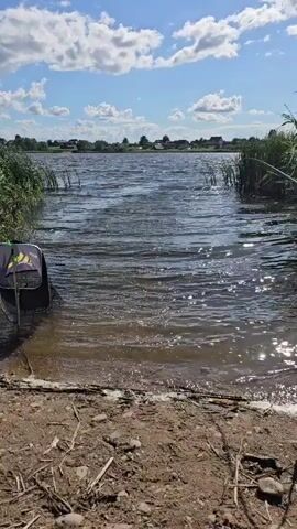 The video shows a wide shot of a body of water on a sunny day. The water is rippling, and reeds are growing along the left bank. In the foreground, there is a brown, sandy shore with some debris. A fishing bag is partially submerged in the water on the left side of the frame. The background shows a distant shore with houses and trees under a blue sky with white clouds. The camera appears to be stationary, capturing the movement of the water and the gentle sway of the reeds. There are no people visible in the video.