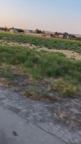 This is a wide shot, likely taken from a vehicle, of a rural landscape at sunset. The foreground is dominated by a rough, grey road or path. Beyond the path, dry, yellowed grass and green shrubs line a gently sloping field. In the mid-ground, several houses with multi-colored roofs are visible, scattered amongst fields of crops or vegetation. In the far distance, a clear, pale blue sky with a hint of pink suggests the sun is setting. A brown cow is visible grazing in the field in the mid-ground. The overall impression is one of a quiet, rural setting as the day draws to a close.
