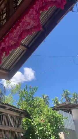 This is a vertical video filmed outdoors on a sunny day. The camera pans slightly to the right, revealing a clear blue sky with a few white clouds. In the foreground, the corrugated metal roof of a structure is visible, with some pink decorative trim hanging from it. Below the roof, lush green trees and the roofs of several houses are visible. A tall metal pole with wires extending from it stands in the middle ground, and a satellite dish can be seen on one of the house roofs. The overall scene suggests a residential area, possibly in a tropical climate, with signs of everyday life and infrastructure. There are no people visible in the video.