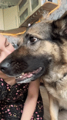 Lazy morning at home with pets, selfies, and breakfast