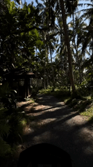 Scooter rider documents rural Karangasem countryside journey