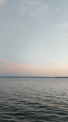 Lakeside park at dusk — water, pines, and a quiet evening