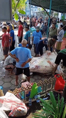Early morning street life documented in Indonesian villages