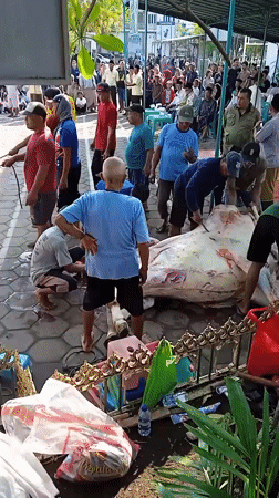 Early morning street life documented in Indonesian villages